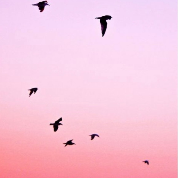 Meet your Posher, J - Picture 1 of 1